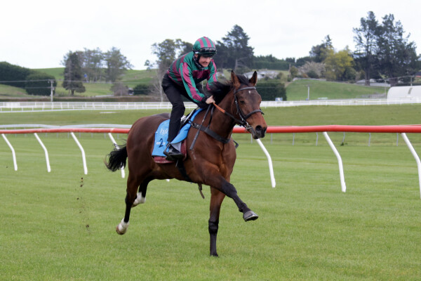 Lot 110: Anamoe / Serene Majesty