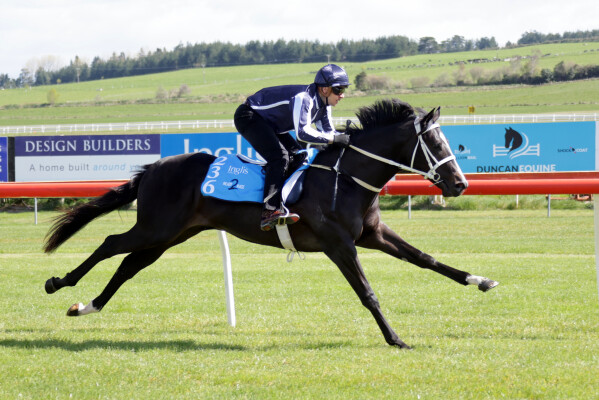 Lot 236: Pierata / Chase the Wind