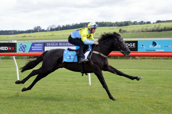Lot 215: Kermadec (NZ) / Bon Vacance