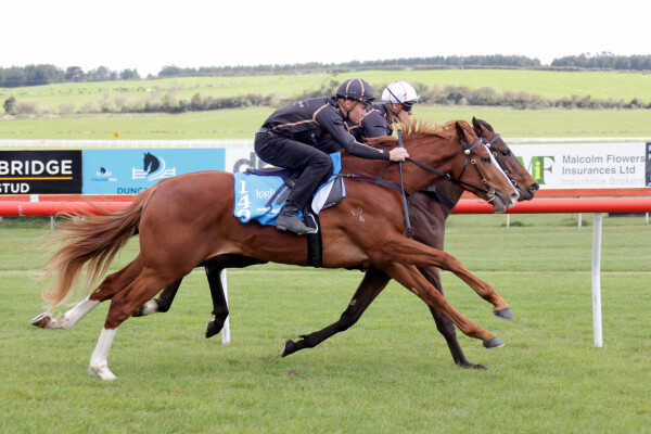 Lot 140: Stay Inside / Sweet Melody (NZ)