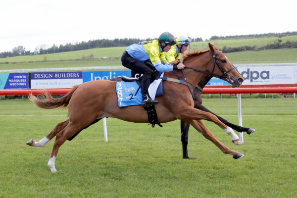Lot 287: Star Turn / Gharaam