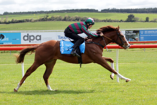 Lot 129: Anamoe / Sprightly Lass