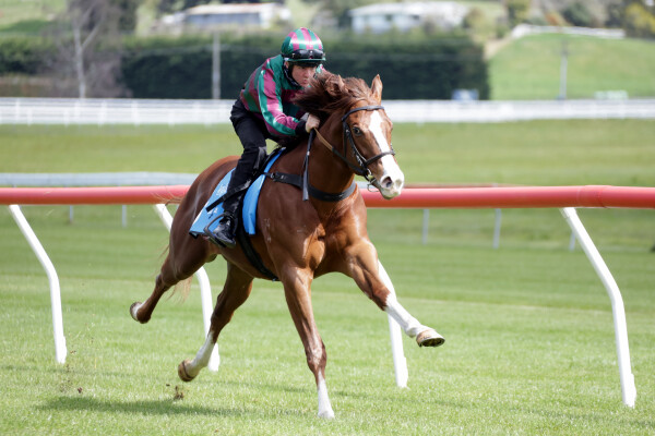 Lot 129: Anamoe / Sprightly Lass