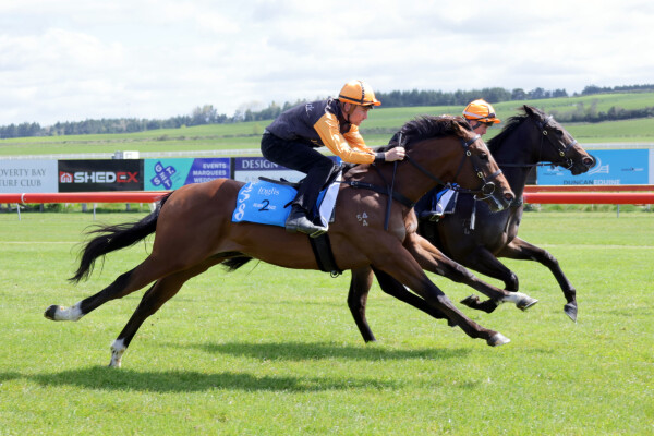 Lot 158: Zousain / Undoubtedly So