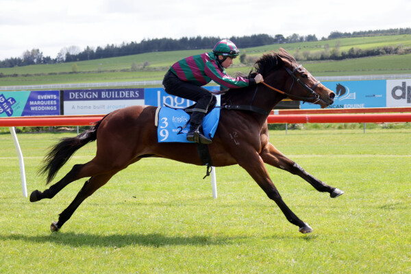Lot 39: Siyouni (FR) / Mariam (GB)