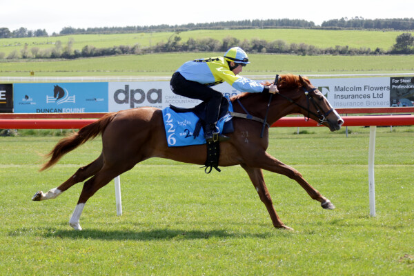 Lot 226: Admire Mars (JPN) / Cat by the Tale (USA)