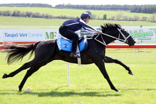 Lot 202: Profondo / Barbarina (NZ)