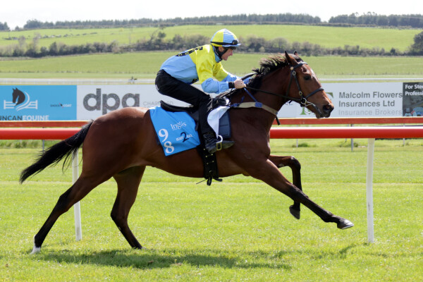 Lot 98: All Too Hard / Ruby Sea