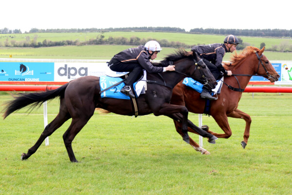 Lot 201: Street Boss (USA) / Barangaready