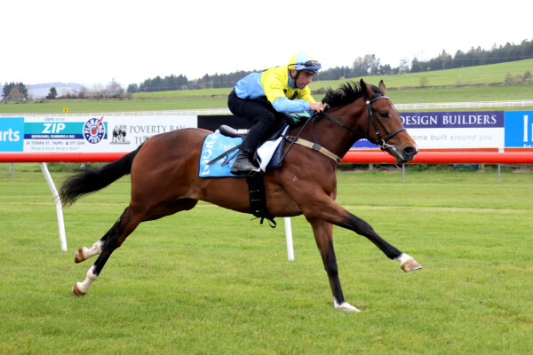 Lot 252: State of Rest (IRE) / De la Fayette