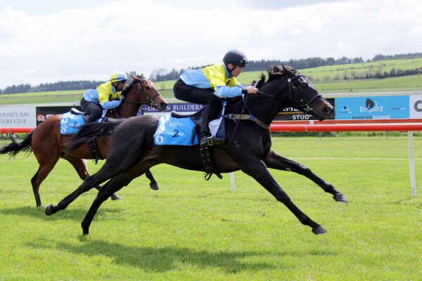 Lot 106: Kermadec (NZ) / Sassy Ann (NZ)