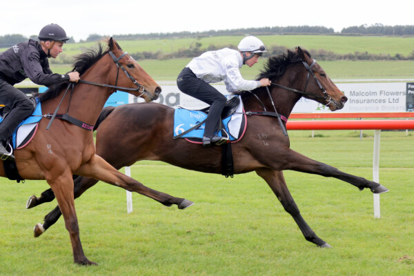 Lot 6: So You Think (NZ) / Joy of Dubai