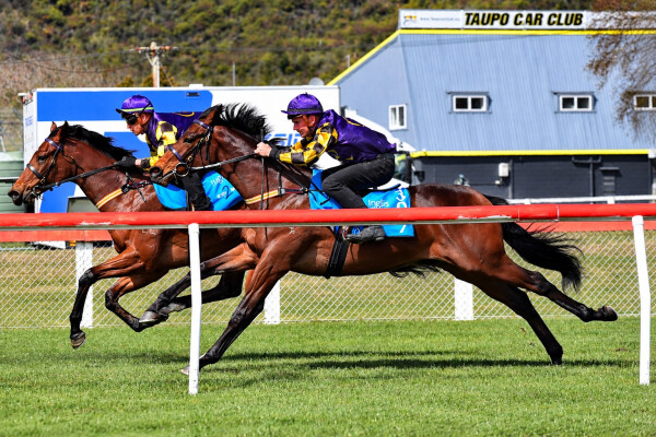 Lot 307: Pride of Dubai / Highly Secret (NZ)