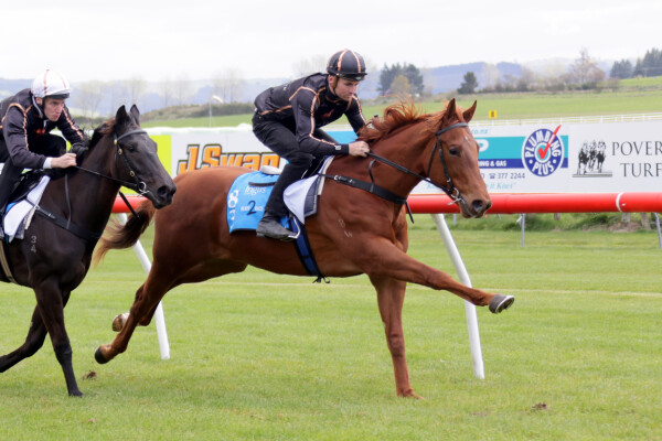 Lot 83: Anamoe / Really Discreet