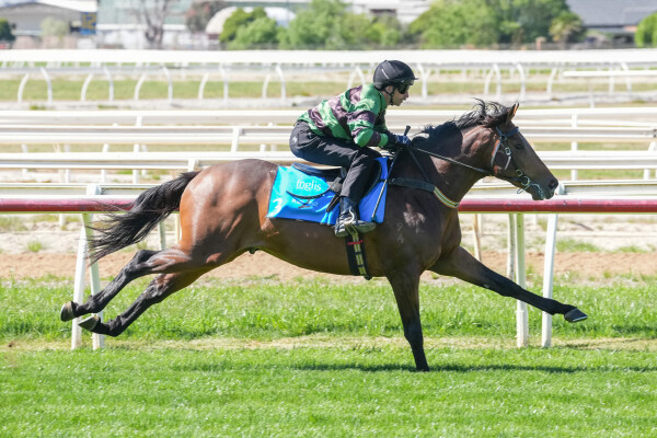 Lot 3: Artorius / Jaylo