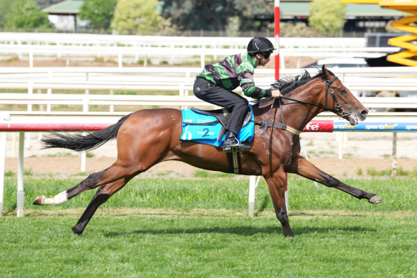 Lot 70: Cosmic Force / Pinky