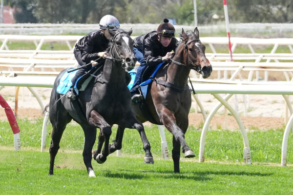 Lot 88: Better Than Ready / Repeats