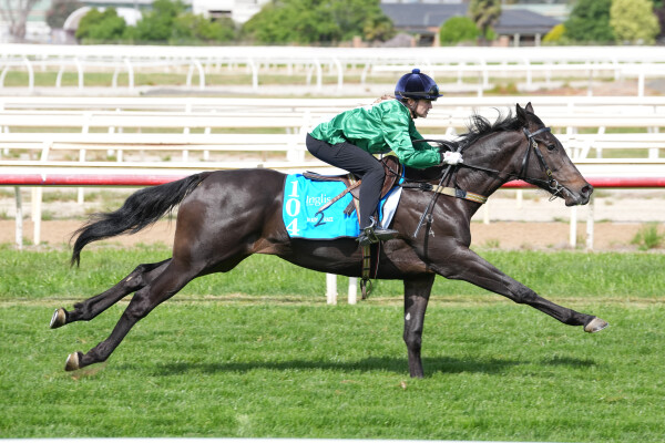 Lot 104: Proisir / Sancta