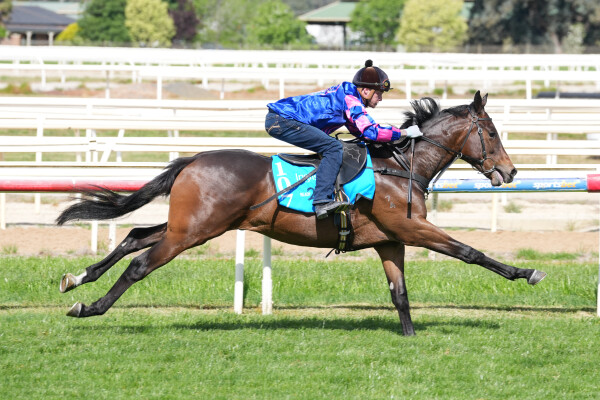 Lot 107: I Am Immortal / Scarlet Charge