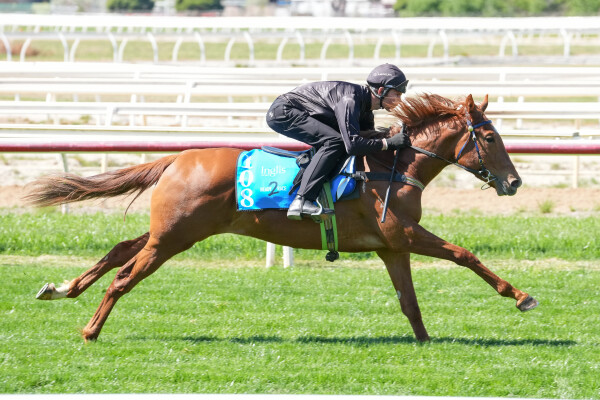 Lot 108: Encryption / Seeking Asylum