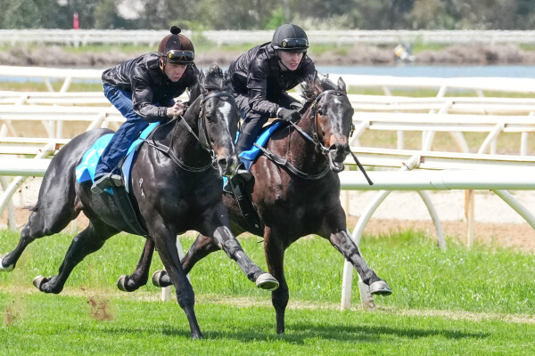 Lot 112: Encryption / Shamardani