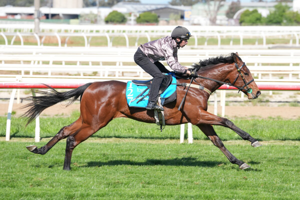 Lot 127: Capitalist / Speedboat