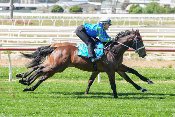 Lot 103: Tassort / Sanako (JPN)