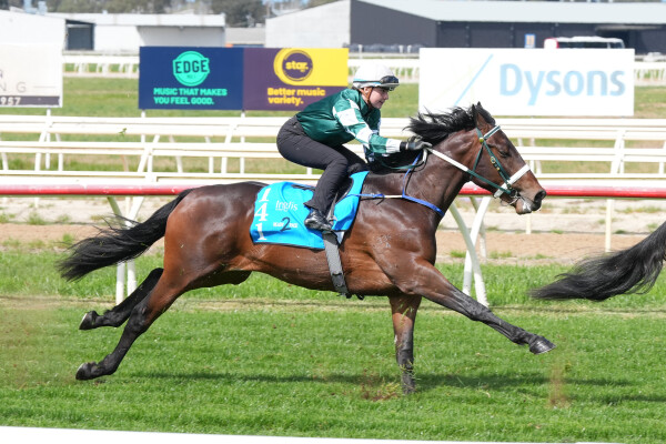 Lot 141: Tagaloa / Sweet Whisper (IRE)