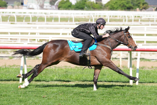 Lot 174: Russian Revolution / Za Zi Ba