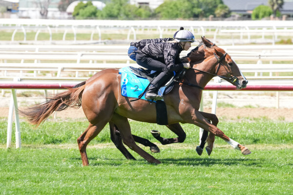 Lot 196: Written Tycoon / Awakening