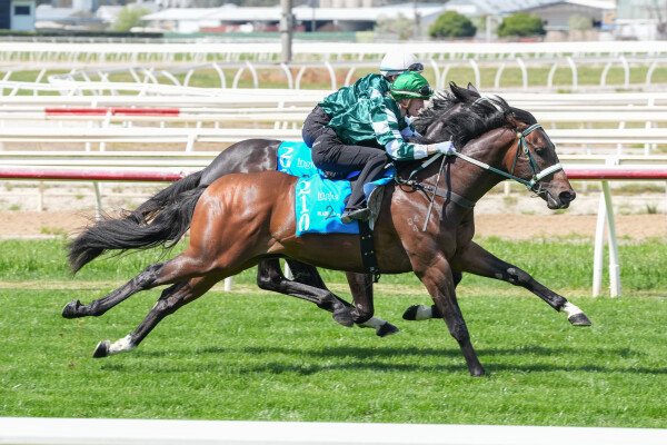 Lot 210: I Am Invincible / Biscayne Bay