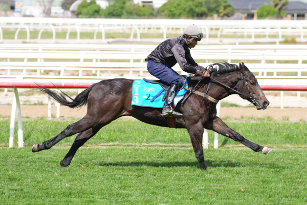 Lot 213: Capitalist / Blowing Kisses