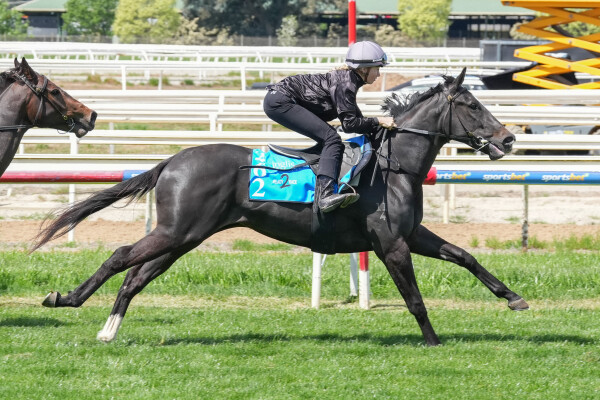 Lot 262: Cosmic Force / Done by Me