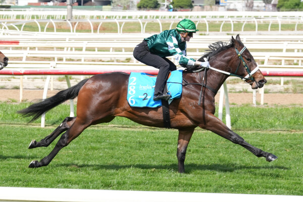 Lot 286: Tagaloa / Genevieve (JPN)