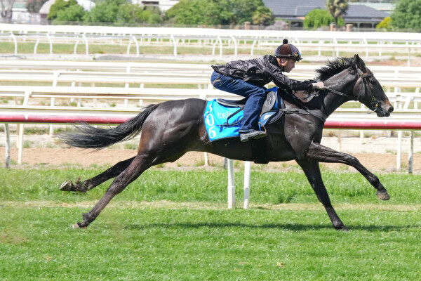 Lot 306: Shamus Award / Heaven's Wish