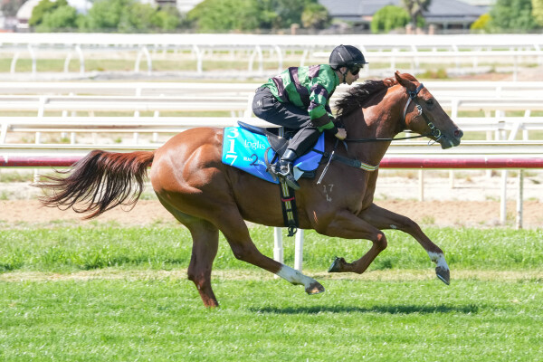 Lot 317: Capitalist / In This Life