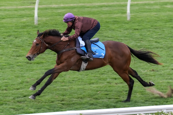 Lot 2: Russian Revolution / Jahre