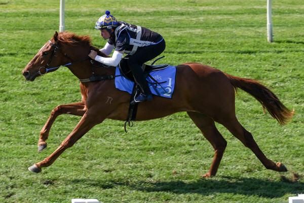 Lot 12: Showtime / Kirovskaya