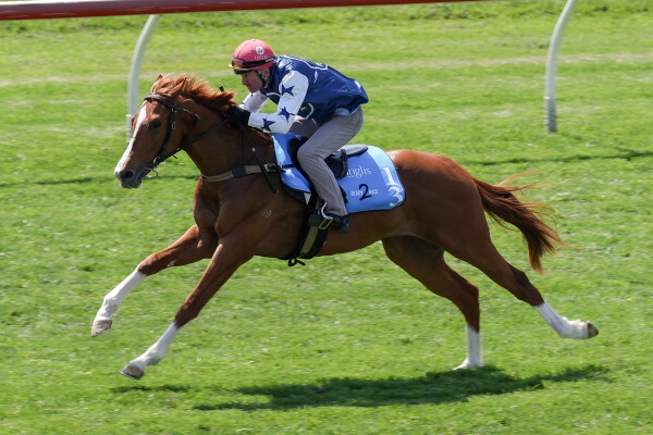 Lot 13: Stronger / Kiss Hello