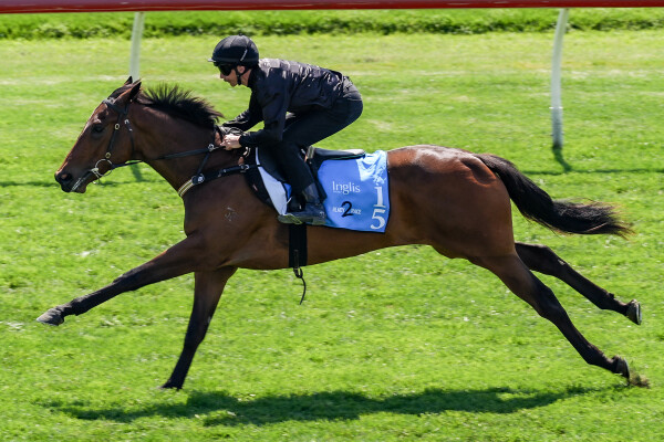 Lot 15: Ardrossan / La Bella Beals