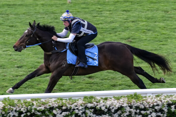 Lot 25: Zousain / Leap Lively