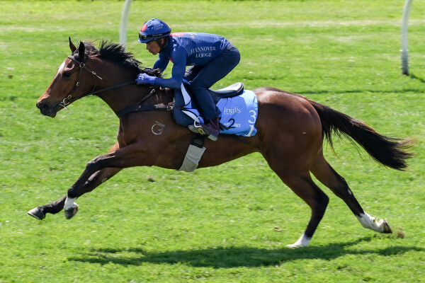 Lot 31: Home Affairs / Little Zeta