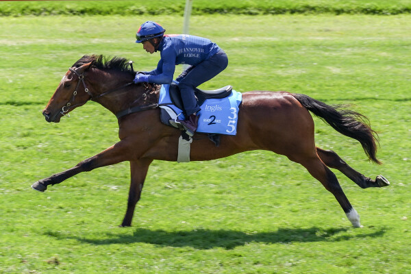 Lot 35: Capitalist / Lunar Light