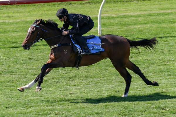 Lot 57: Grunt (NZ) / Obey (GB)