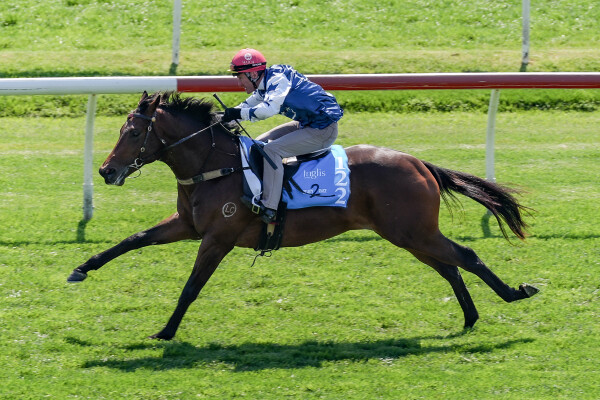 Lot 122: Starspangledbanner / Sneakers