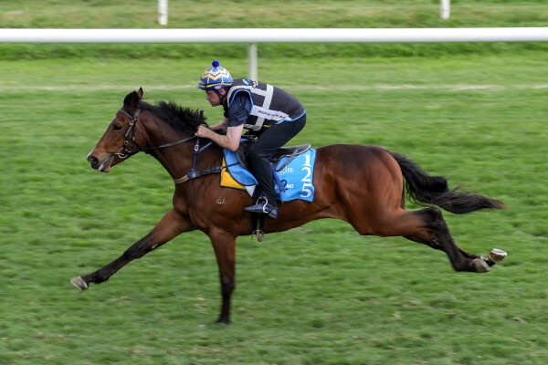 Lot 125: Portland Sky / Sorpesee