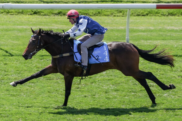 Lot 144: Tassort / Tell Tale