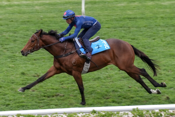 Lot 148: Jacquinot / Theatric