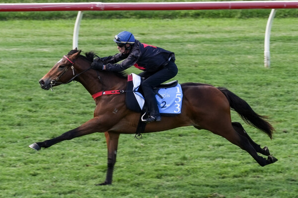 Lot 153: In the Congo / Triple Chelsea (USA)