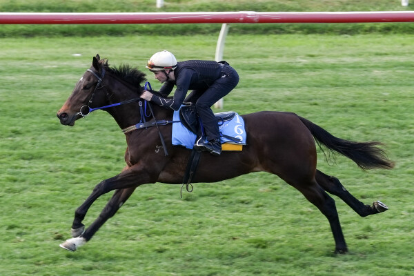 Lot 162: Hellbent / Verdier
